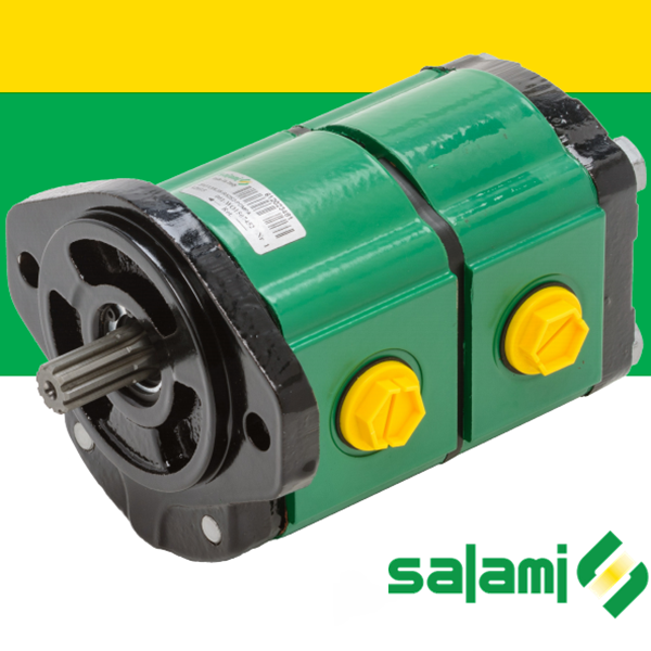 2PE系列萨拉米SALAMI齿轮油泵