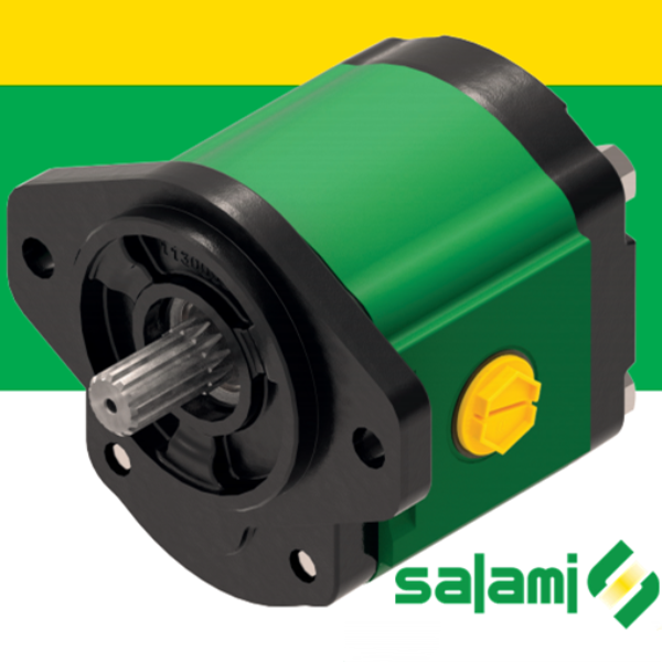 3PE系列萨拉米SALAMI齿轮油泵