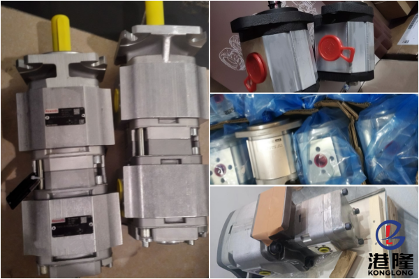 ROQUET齿轮泵产品目录,型号及参数