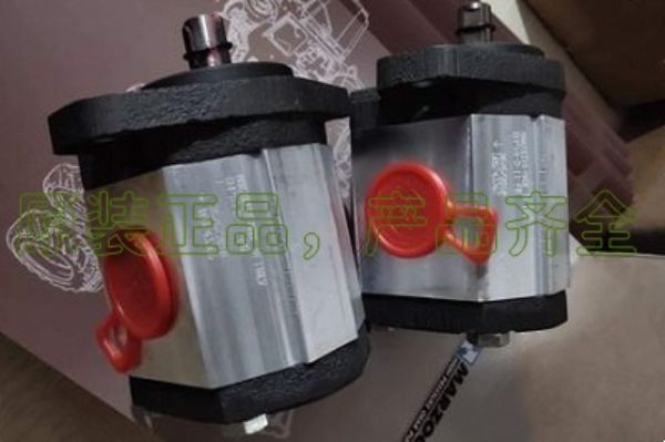 意大利马祖奇齿轮泵GHP2A-D-40,GHP2A-D-40-FG的性能区别