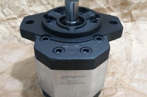 Caproni齿轮泵有哪些常见类型？如何选择适合的Caproni齿轮泵