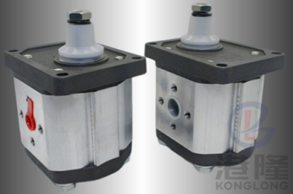 CAPRONI齿轮泵00/10/20/30系列规格、参数