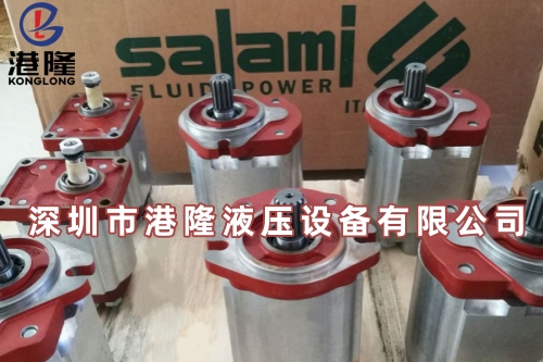 salami齿轮泵官网